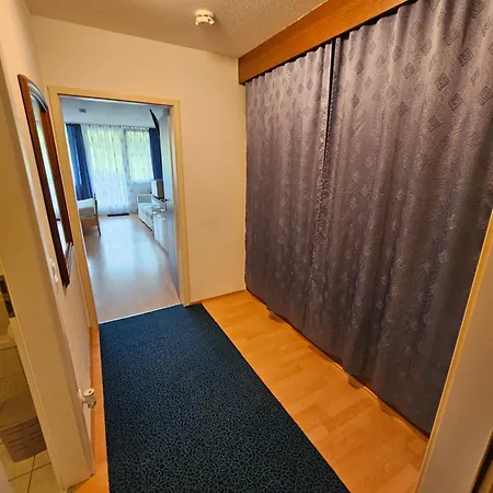 Ferienwohnung Bachmeier Apartment Sankt Englmar