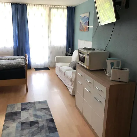 Apartment Ferienwohnung Bachmeier Sankt Englmar
